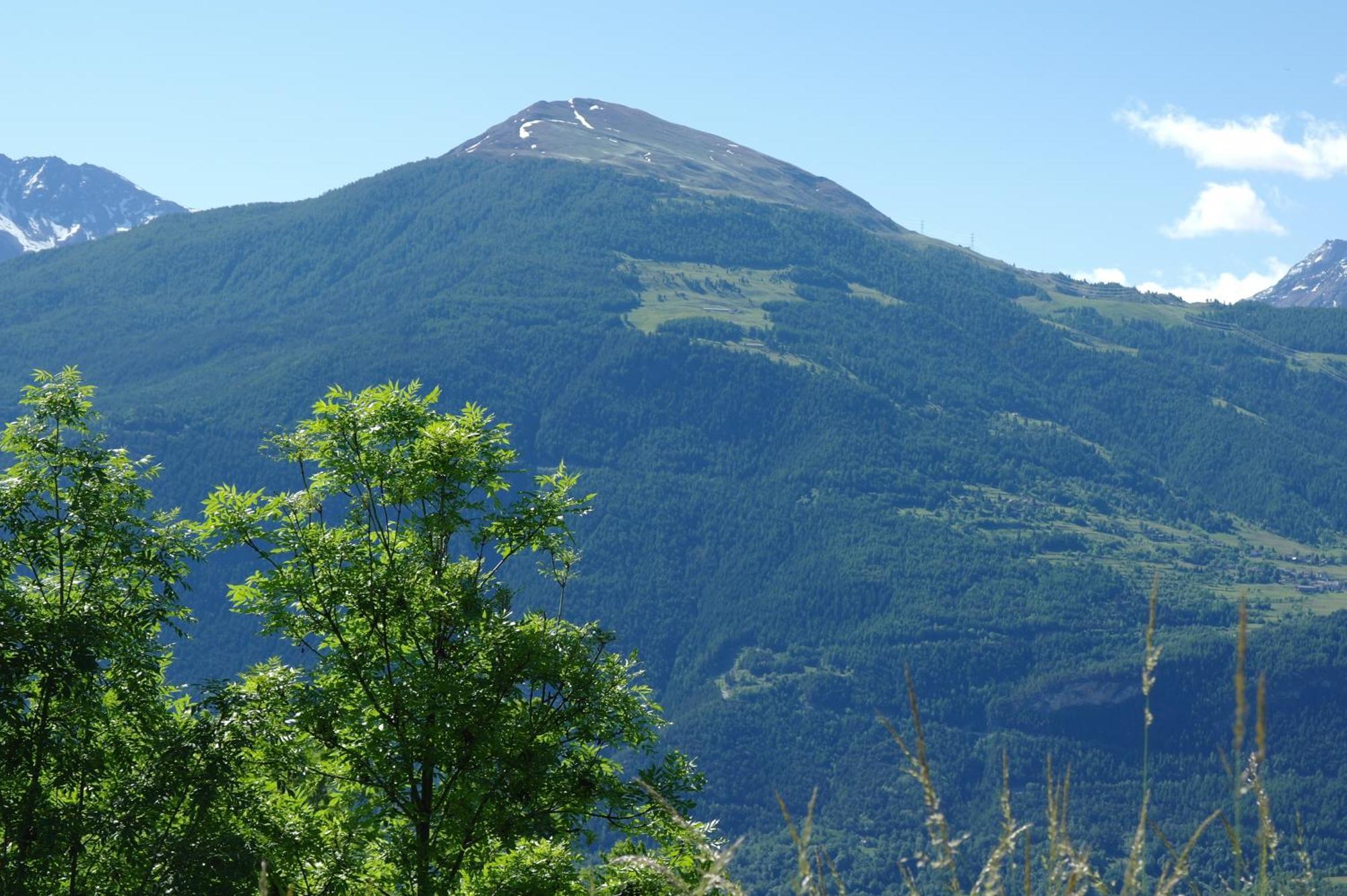Le Vieux Noyer - Appartamenti Al Verde Villaggio Di Rumiod Сен-Пиер Екстериор снимка