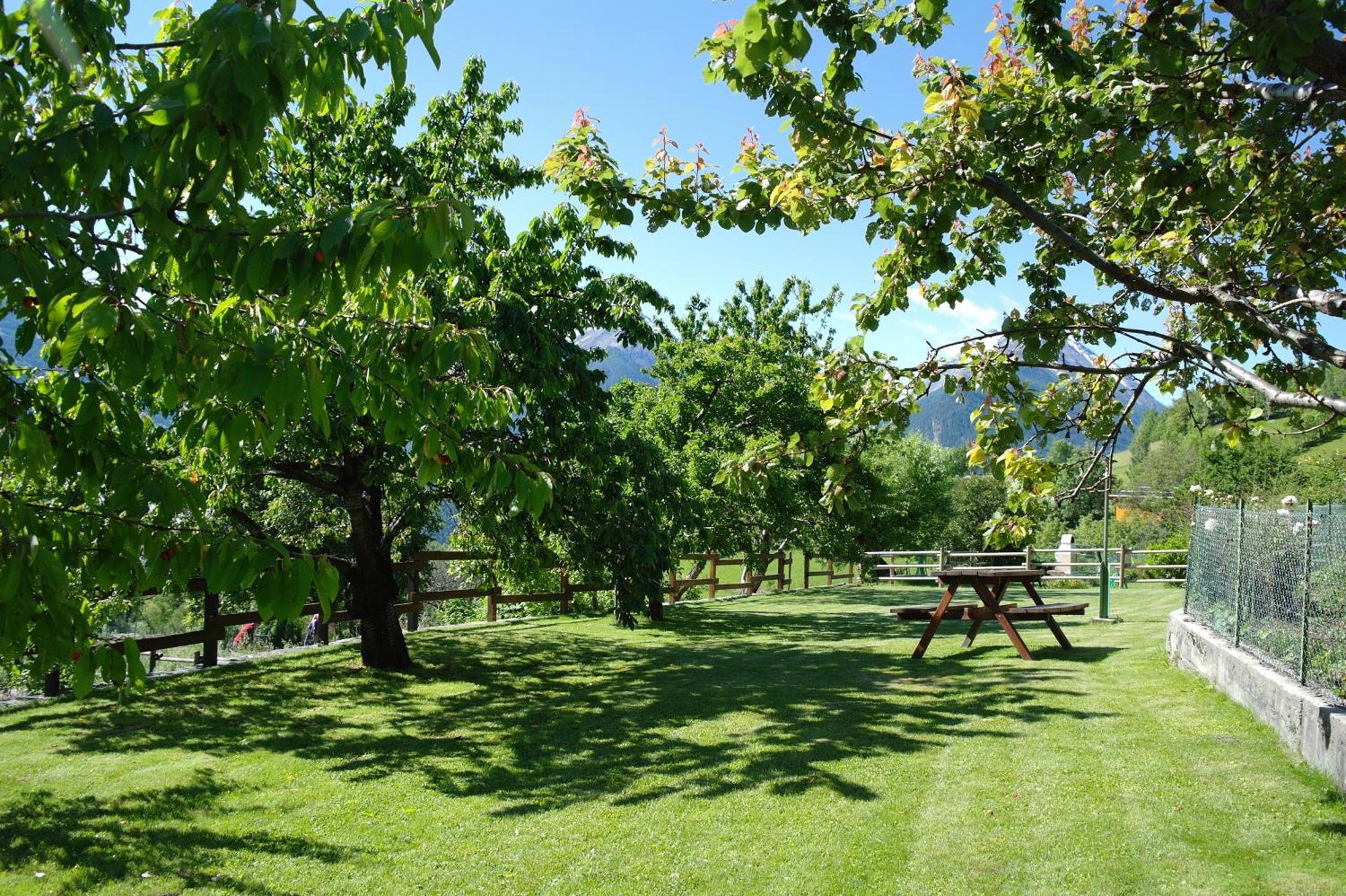 Le Vieux Noyer - Appartamenti Al Verde Villaggio Di Rumiod Сен-Пиер Екстериор снимка