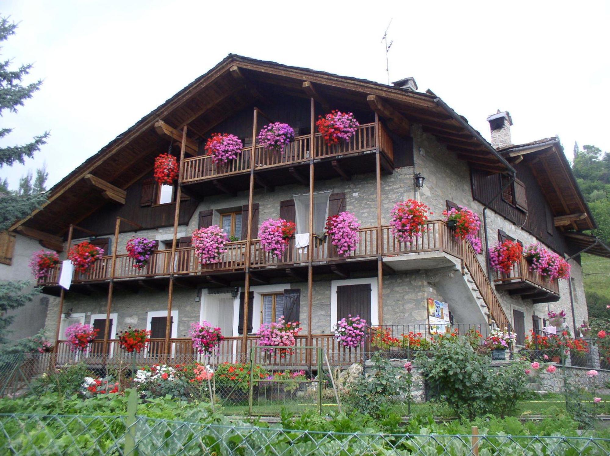 Le Vieux Noyer - Appartamenti Al Verde Villaggio Di Rumiod Сен-Пиер Екстериор снимка